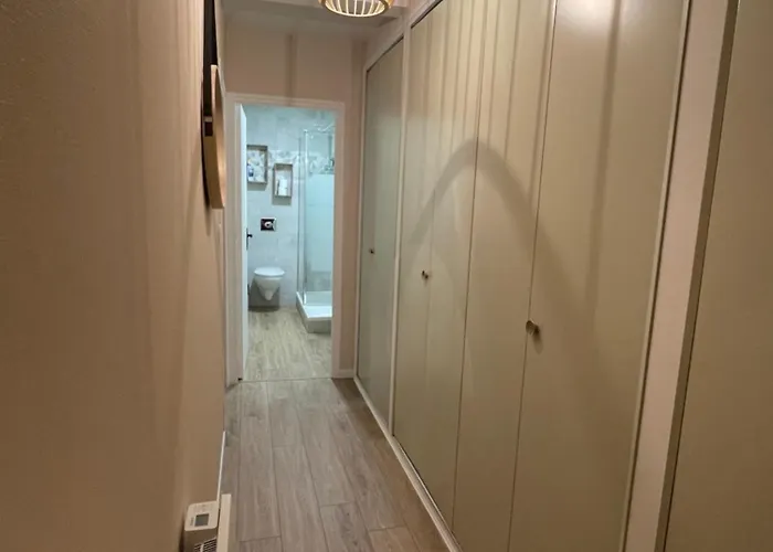 Meublé 26m² Refait à Neuf